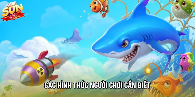 Các hình thức người chơi cần biết Các hình thức người chơi cần biết