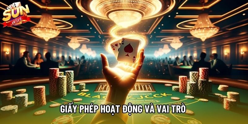 Giấy phép hoạt động và vai trò trong môi trường trực tuyến Giấy phép hoạt động và vai trò trong môi trường trực tuyến
