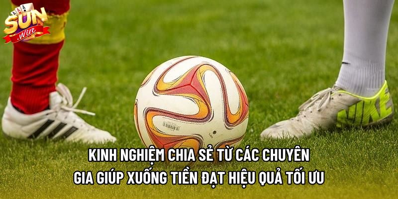 Kinh nghiệm chia sẻ từ các chuyên gia giúp xuống tiền đạt hiệu quả tối ưu