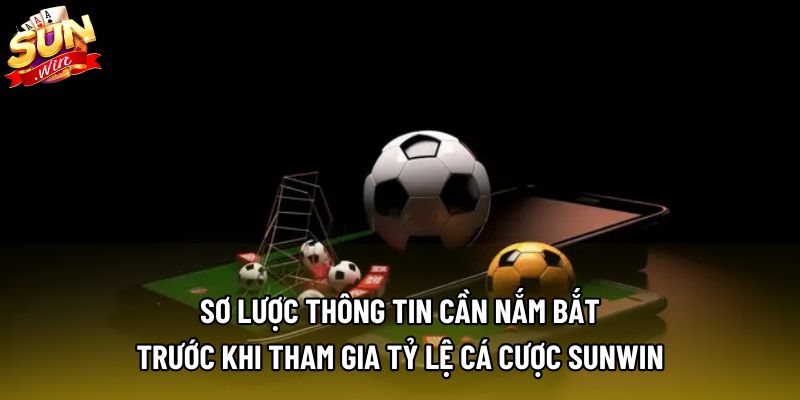 Sơ lược thông tin cần nắm bắt trước khi tham gia tỷ lệ cá cược sunwin